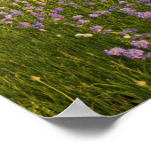 Weide van penstemon-wildbloemen in de poster (Hoek)