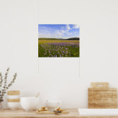 Weide van penstemon-wildbloemen in de poster (Keuken)