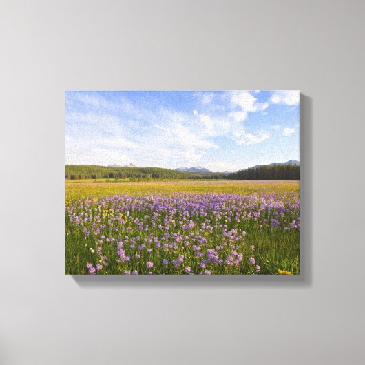 Weide van penstemon-wilde bloemen in de canvas afdruk (Voorkant)