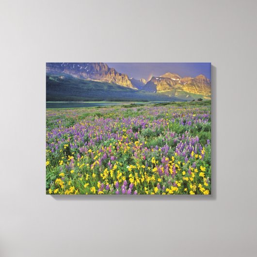 Weide van wilde bloemen in de Many glacier Canvas Afdruk (Voorkant)