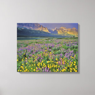 Weide van wilde bloemen in de Many glacier Canvas Afdruk