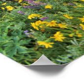 Weide van wilde bloemen in de Many glacier Poster (Hoek)