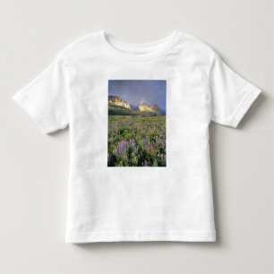 Weide van wilde bloemen nabij Lake Sherbourne in Kinder Shirts