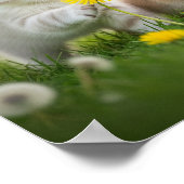 weidebontbaby's poster (Hoek)