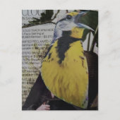 Weideleeuw Surreal Collage Briefkaart (Voorkant)