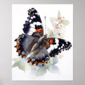 Weidemeyers Admiral Butterfly Art Print Poster (Voorkant)