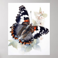 Weidemeyers Admiral Butterfly Art Print Poster