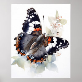 Weidemeyers Admiral Butterfly Art Print Poster