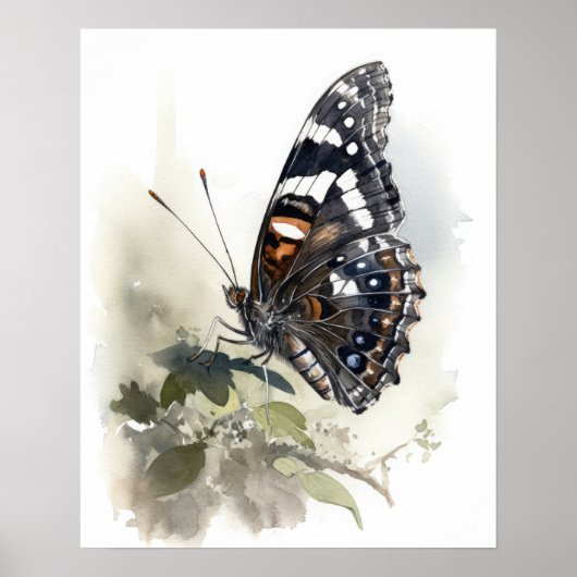 Weidemeyers Admiral Butterfly Art Print Poster (Voorkant)