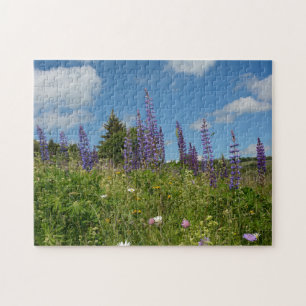 Weiden met lupinen - legpuzzel