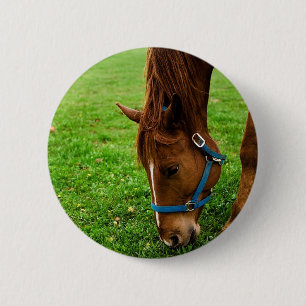 Weidende Kastanje met Streep Ronde Button 5,7 Cm