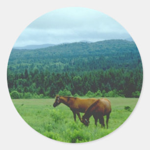 Weidende Paarden met de Achtergrond van de Berg Ronde Sticker