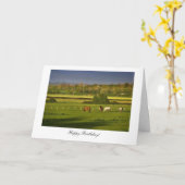 Weidende Paarden/Poneys - Gelukkige Verjaardag Kaart (Gele Bloem)