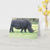 weideneushoorn-Wenskaart Kaart (Gele Bloem)