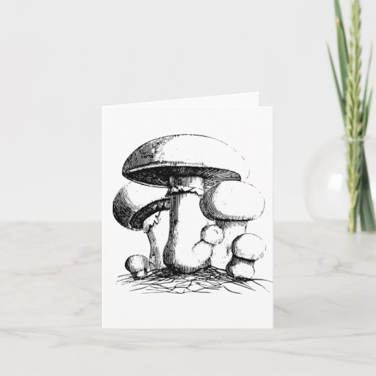 Weidepaddenstoelen Notitiekaarten (Voorkant)