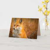 weidevos-wenskaart kaart (Gele Bloem)