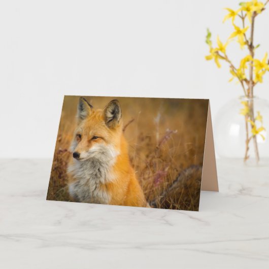 weidevos-wenskaart kaart (Gele Bloem)