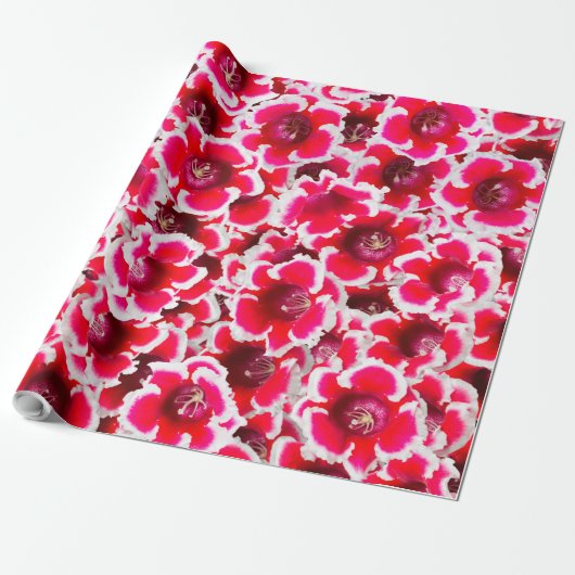 Weigela Florida Flowers Cadeaupapier (Uitgerold)