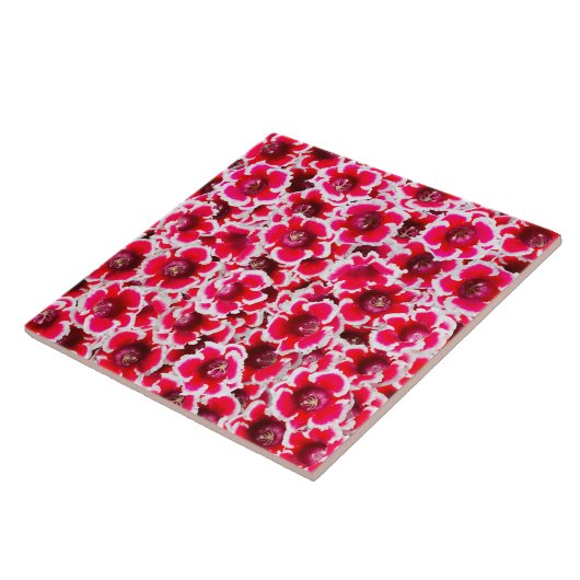 Weigela Florida Flowers Tegeltje (Zijkant)