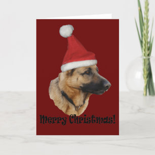 Weihnachten "Schäferhund" Feestdagen Kaart