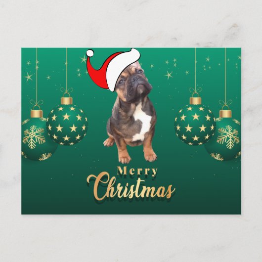 Weihnachtskarte französische Bulldoggen Christmas  Briefkaart (Voorkant)