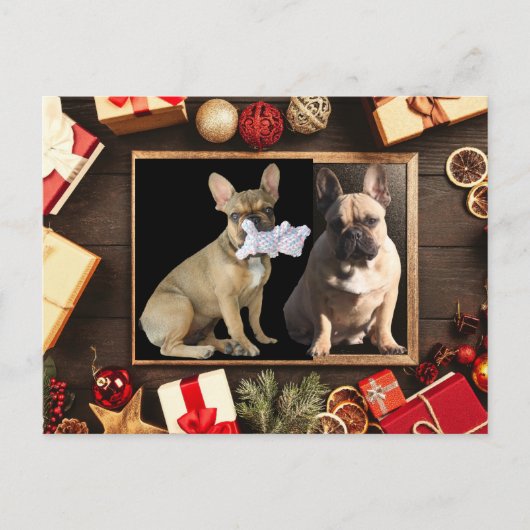 Weihnachtskarte französische Bulldoggen Christmas Briefkaart (Voorkant)