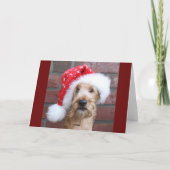 Weihnachtskarte "Irish Terrier" Feestdagen Kaart (Achterkant)
