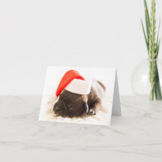 Weihnachtswelpe Feestdagen Kaart