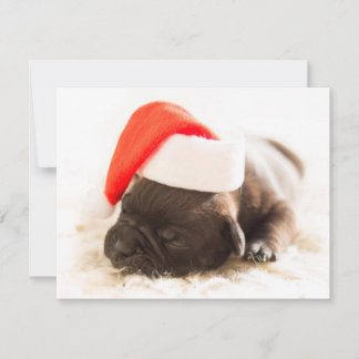 Weihnachtswelpe Feestdagenkaart