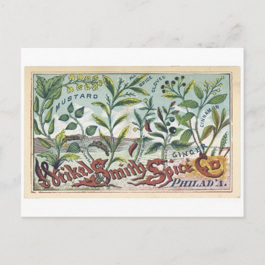 Weikel Smith Spice Co. Phila Briefkaart (Voorkant)