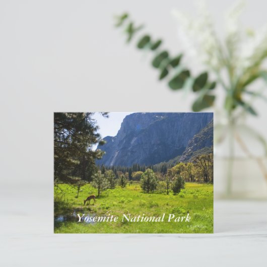 Weiland in Yosemite Briefkaart (Staand voorkant)