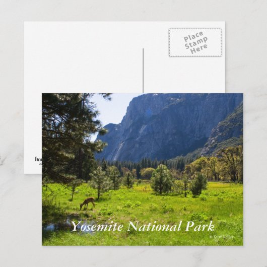 Weiland in Yosemite Briefkaart (Voorkant / Achterkant)