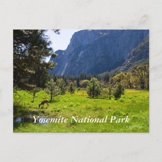 Weiland in Yosemite Briefkaart (Voorkant)