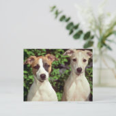 weiletten briefkaart (Staand voorkant)