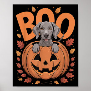 Weim Kostuum Op Pompoen Halloween Weimaraner  Poster
