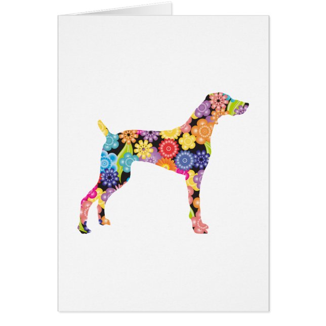 Weimaraner (Voorkant)