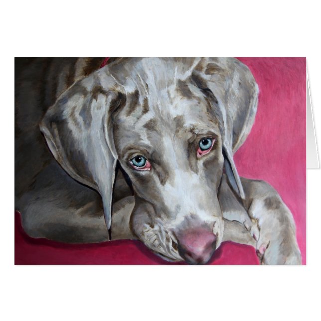Weimaraner (Voorkant Horizontaal)