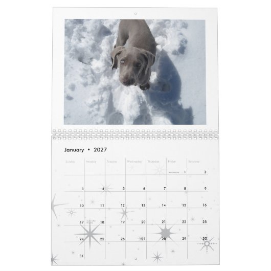 weimaraner 2012 kalender (Jan 2027)