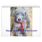 weimaraner 2012 kalender (Hoes)