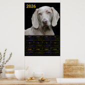 Weimaraner 2026 Calendar Poster (Keuken)