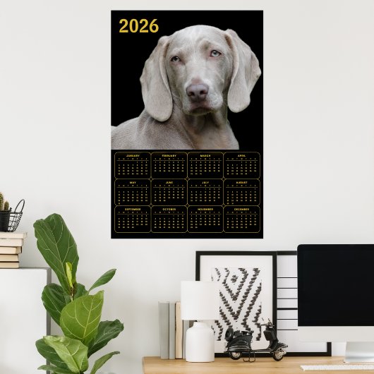 Weimaraner 2026 Calendar Poster (Thuiskantoor)