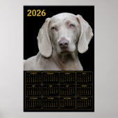 Weimaraner 2026 Calendar Poster (Voorkant)