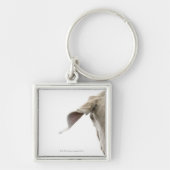 Weimaraner 2 sleutelhanger (Voorkant)