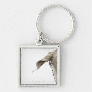 Weimaraner 2 sleutelhanger