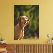 Weimaraner 3 canvas afdruk (Insitu (Woonkamer))