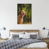 Weimaraner 3 canvas afdruk (Insitu (Slaapkamer))