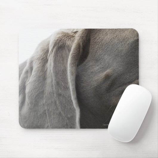 Weimaraner 3 muismat (Met muis)