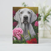Weimaraner 3 x 5 flatje dank-je Kaart (leeg) (Staand voorkant)
