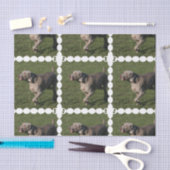 weimaraner-6 tissuepapier (Craft)