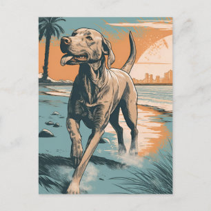Weimaraner aan het strand briefkaart
